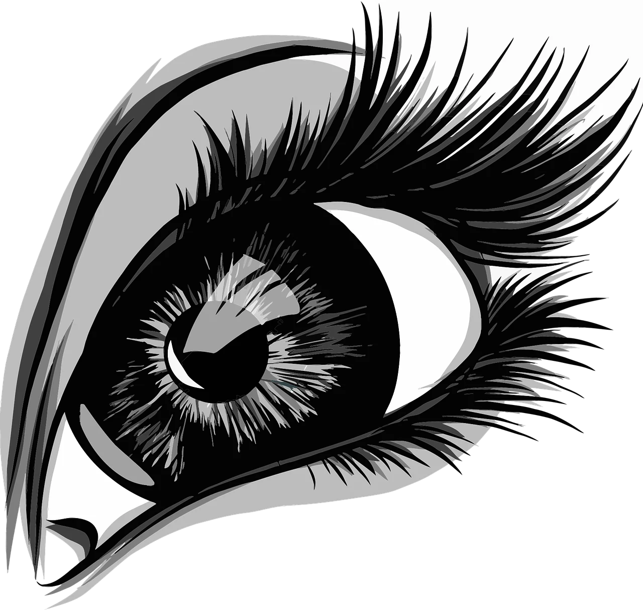 eyelashes