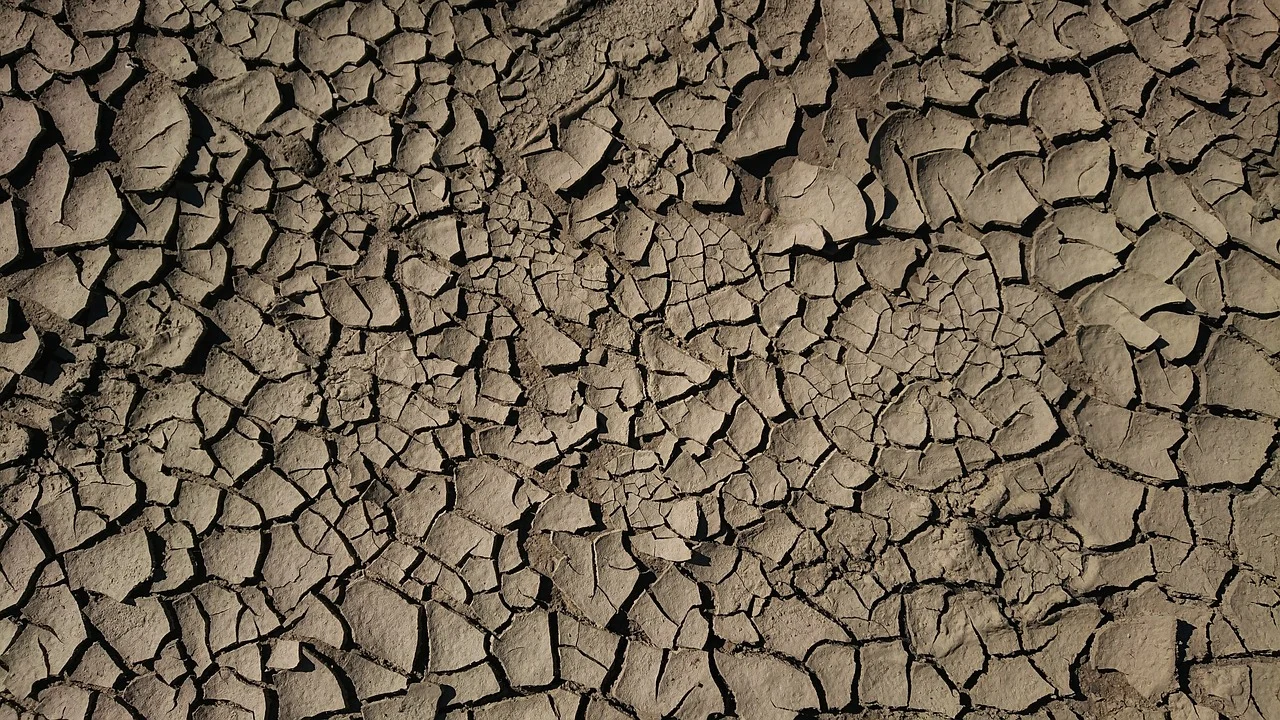 masca de fata cu argila pentru riduri