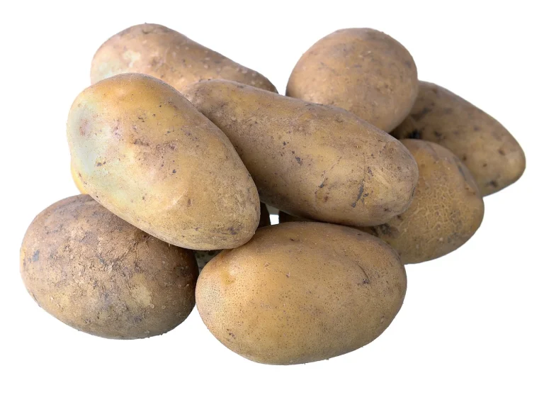 mese de succes: idei inovatoare pentru felul doi