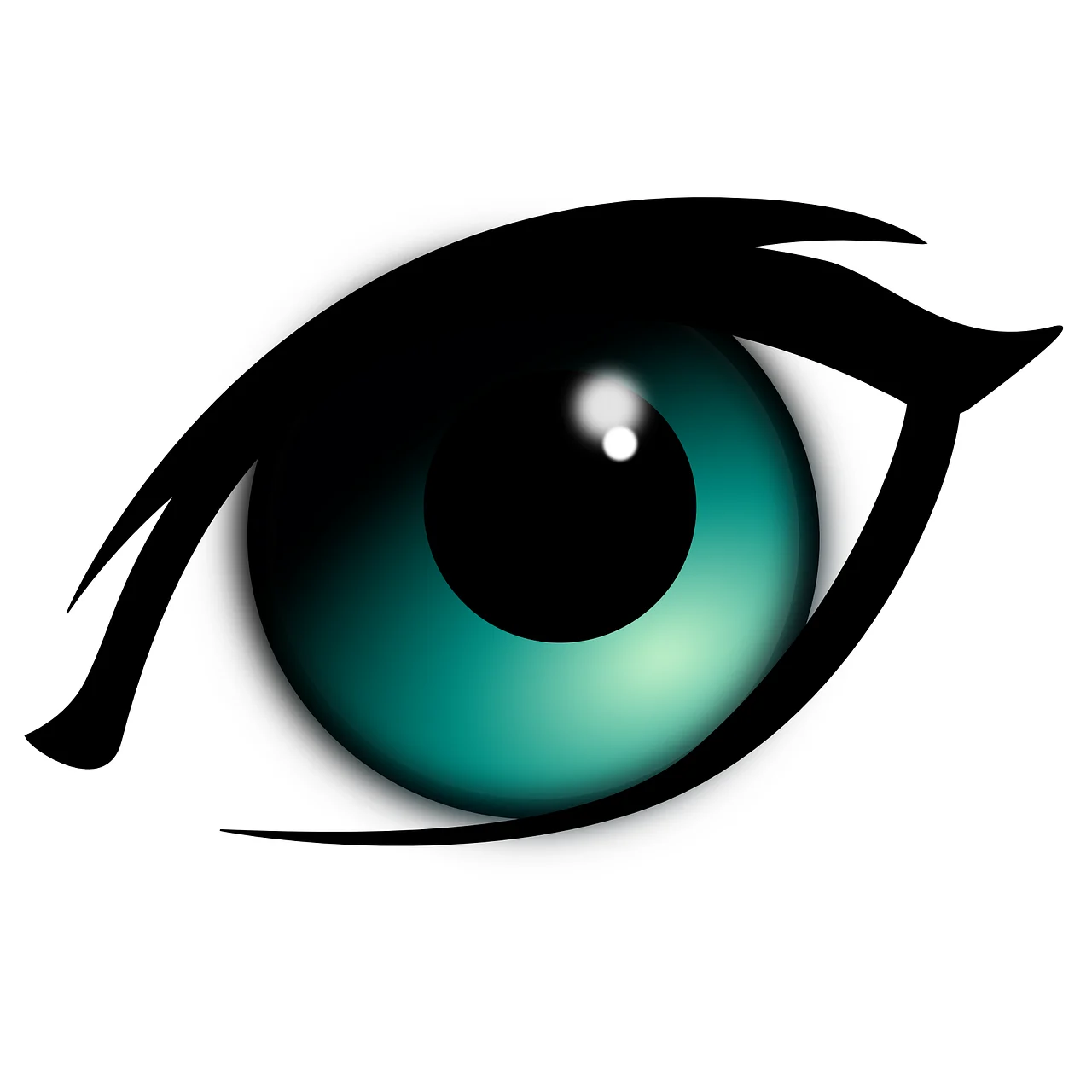 rimel big lash
