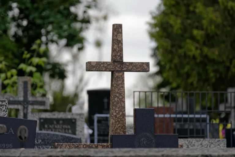 Fa bani de acasa pe telefon cele mai bune metode online